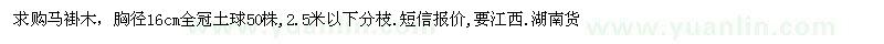 求購馬褂木
