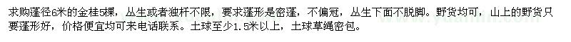 求購蓬徑6米的金桂5棵