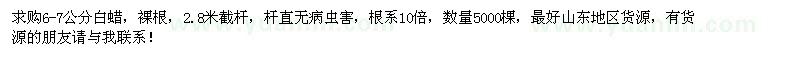 求購6-7公分白蠟5000棵