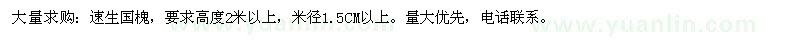 求購(gòu)大量：速生國(guó)槐