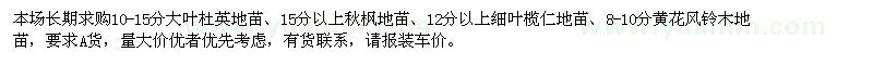 求購大葉杜英,秋楓,細葉欖仁,黃花風鈴木