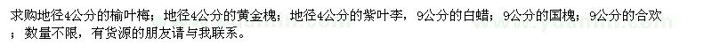求購(gòu)榆葉梅,黃金槐,紫葉李,白蠟,合歡