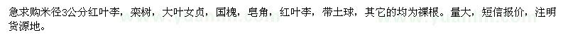 求購(gòu)紅葉李,欒樹(shù),大葉女貞,紅葉李