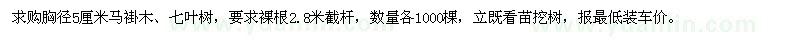 求購胸徑5厘米馬褂木,七葉樹