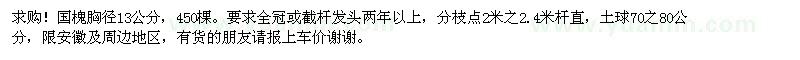 求購國槐胸徑13公分450棵
