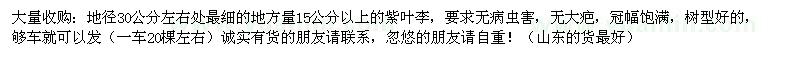 求購15公分以上的紫葉李 