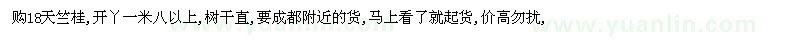 求購18天竺桂,開丫一米八以上,樹干直, 