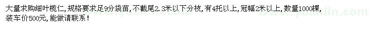 求購(gòu)小葉欖仁