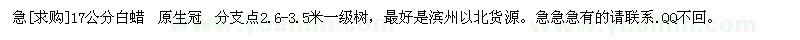 求購急17公分白蠟 原生冠 分支點(diǎn)2.6-3.5米一級(jí)樹
