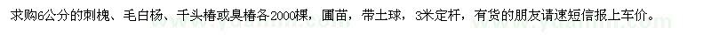 求購(gòu)6公分的刺槐、毛白楊、千頭椿或臭椿