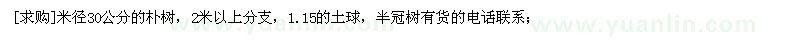 求購(gòu)米徑30公分的樸樹，2米以上分支