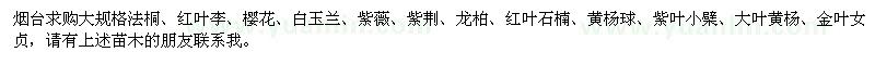 求購大規(guī)格法桐、紅葉李、櫻花等苗木