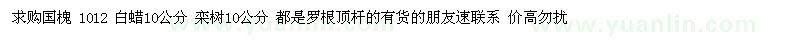 求購國槐、白蠟、欒樹
