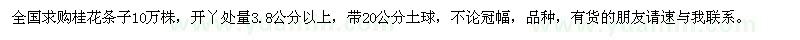 求購桂花條子