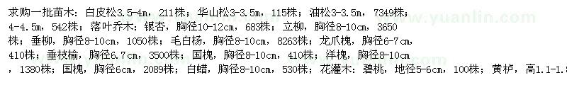 求購白皮松3.5-4m，211株；華山松3-3.5m，115株等