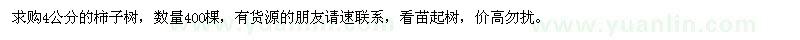 求購4公分的柿子樹