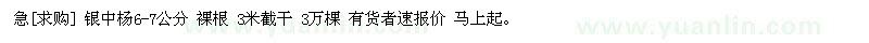 求購急 銀中楊6-7公分 裸根 3米截干