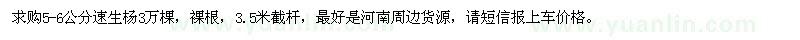 求購5-6公分速生楊3萬棵