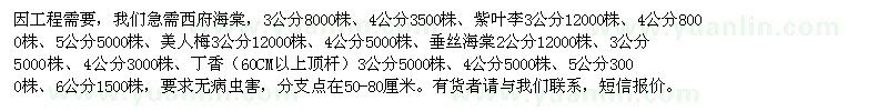 求購西府海棠、紫葉李、美人梅、垂絲海棠、丁香