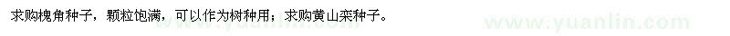 求購(gòu)槐角種子、黃山欒種子
