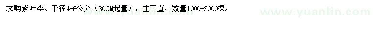 求購(gòu)紫葉李