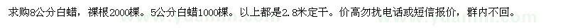 求購5公分8公分白蠟 