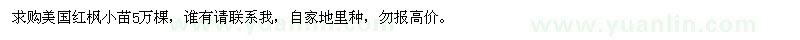 求購(gòu)美國(guó)紅楓小苗5萬(wàn)棵 
