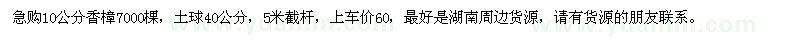 求購10公分香樟7000棵 