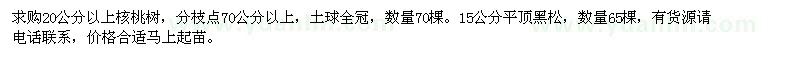 求購核桃樹、黑松