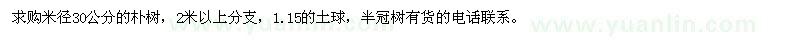 求購米徑30公分的樸樹，2米以上分支