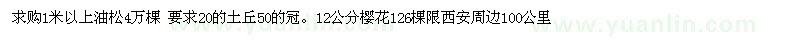 求購1米以上油松4萬棵 。12公分櫻花126棵