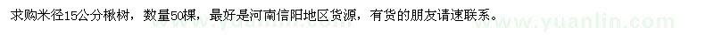 求購米徑15公分楸樹