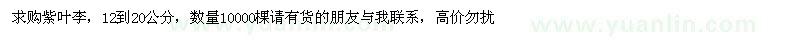 求購紫葉李 