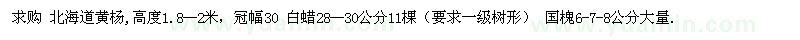 求購北海道黃楊  白蠟 國槐 