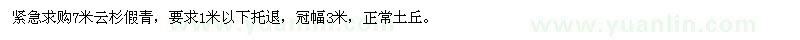 求購7米云杉假青