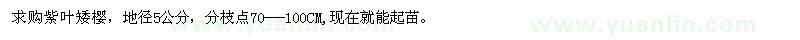 求購紫葉矮櫻