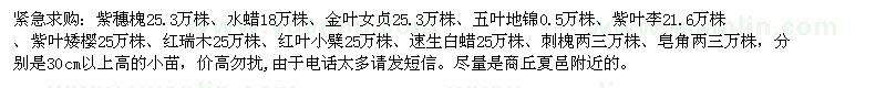 求購(gòu)紫穗槐、水蠟、金葉女貞、五葉地錦、紫葉李、紫葉矮櫻、紅瑞木、紅葉小檗、速生白蠟、刺槐、皂角