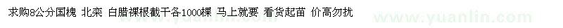 求購8公分國槐 北欒 白臘
