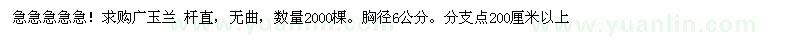 求購急急急急急！廣玉蘭 