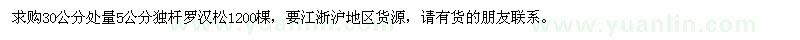 求購(gòu)5公分獨(dú)桿羅漢松