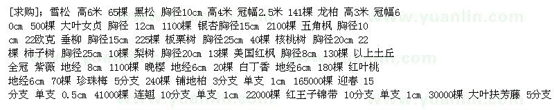 求購雪松 黑松 龍柏 大葉女貞 銀杏樹(shù) 五角楓 垂柳 核桃樹(shù) 柿子