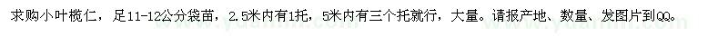 求購11-12公分小葉欖仁