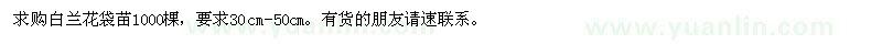 求購白蘭花袋苗1000棵