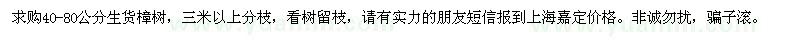 求購40-80公分生貨樟樹