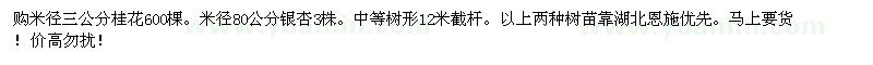 求購米徑三公分桂花600棵。米徑80公分銀杏3株