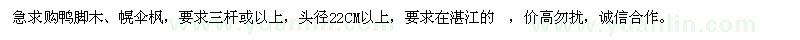 求購鴨腳木,幌傘楓
