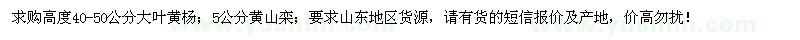 求購大葉黃楊、黃山欒