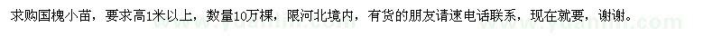 求購國槐小苗