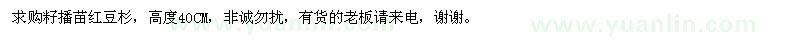 求購籽播苗紅豆杉