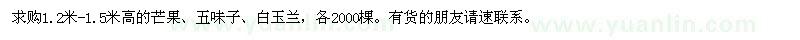 求購1.2米-1.5米高的芒果,五味子,白玉蘭